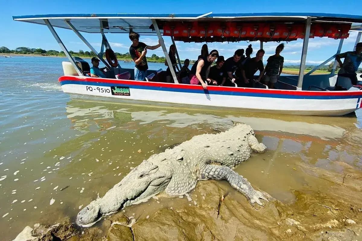 Family Vacation Jaco - Crocodile River Tour